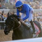 Pacific Classic Winner Knightsbridge Moves into Top 10 on Equibase Leaderboard